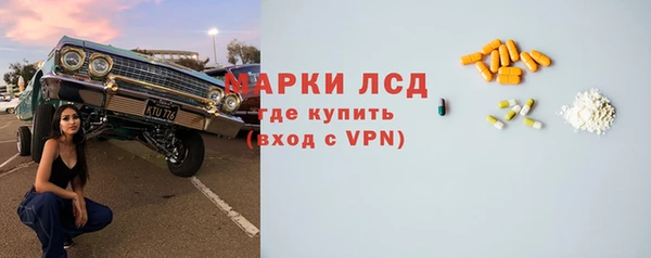 прущие грибы Арсеньев