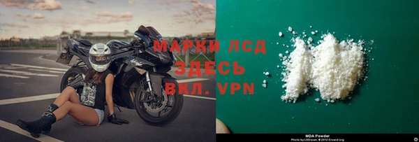 прущие грибы Арсеньев