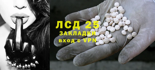 прущие грибы Арсеньев