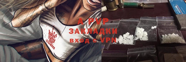 прущие грибы Арсеньев