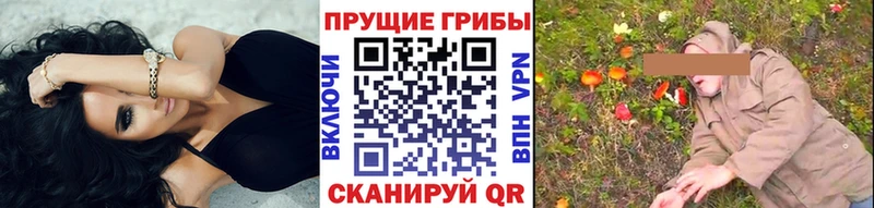 Купить где  Усть-Кут  Галлюциногенные грибы Psilocybine cubensis 