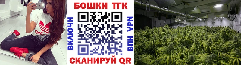 Купить где  Усть-Кут  Бошки Шишки марихуана 